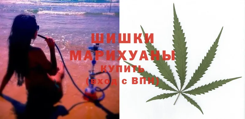 Шишки марихуана Amnesia  цена   Киселёвск 